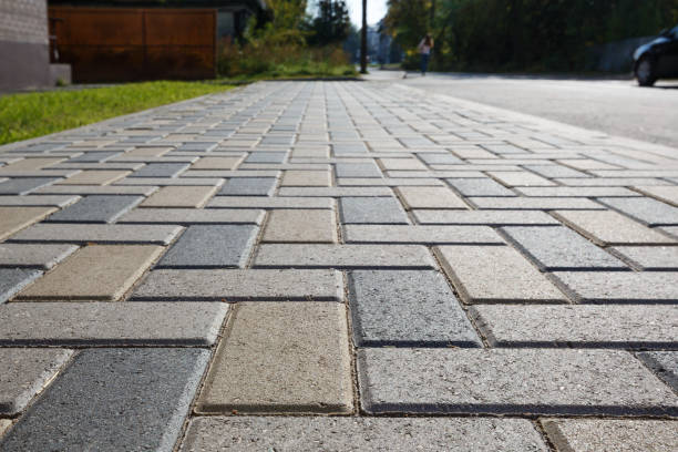 Best Driveway Paving Near Me  in Loyalhanna, PA